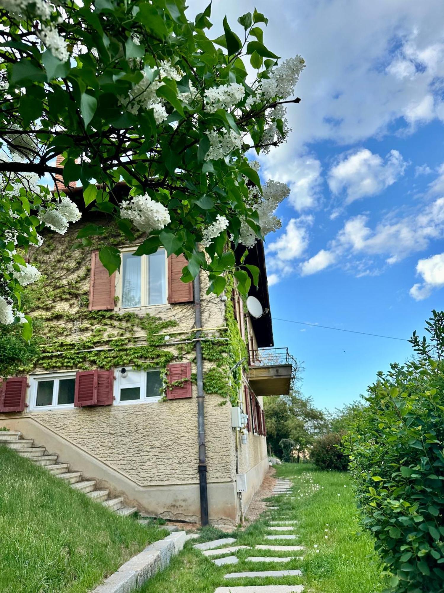 Cloos - Elegant Residence With Panoramic View Brasov Luaran gambar
